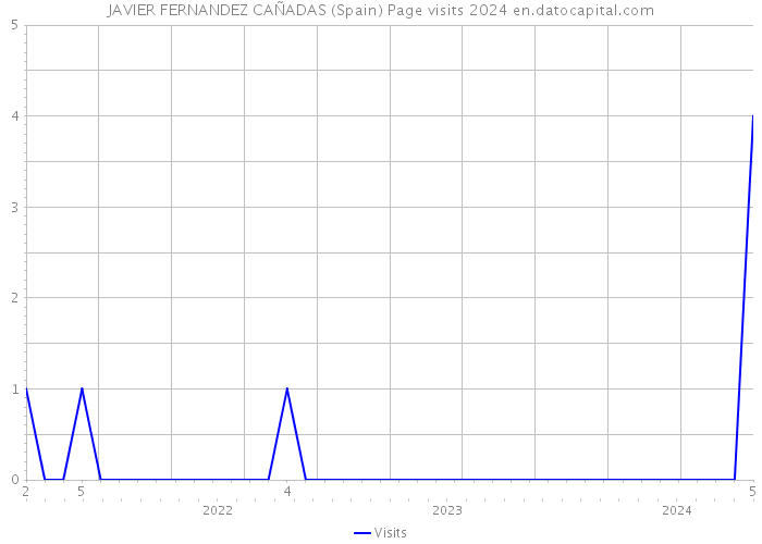 JAVIER FERNANDEZ CAÑADAS (Spain) Page visits 2024 