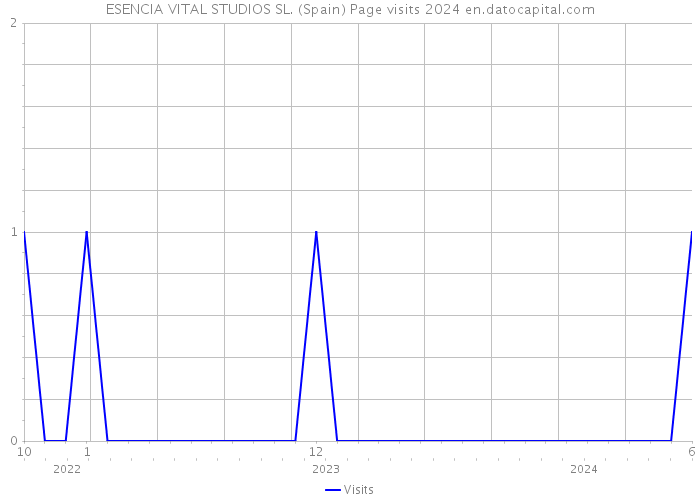 ESENCIA VITAL STUDIOS SL. (Spain) Page visits 2024 
