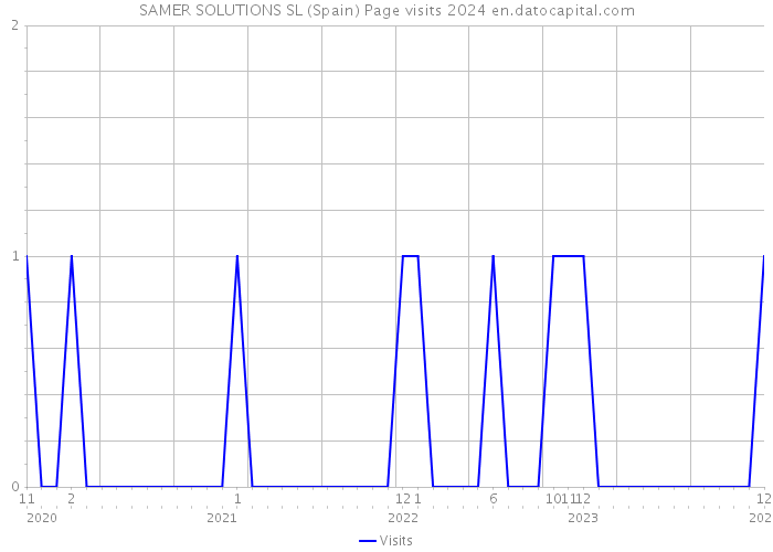 SAMER SOLUTIONS SL (Spain) Page visits 2024 