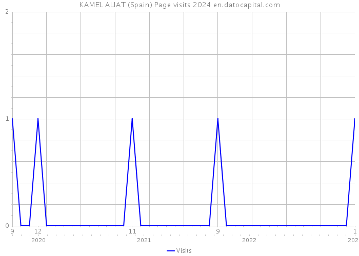 KAMEL ALIAT (Spain) Page visits 2024 