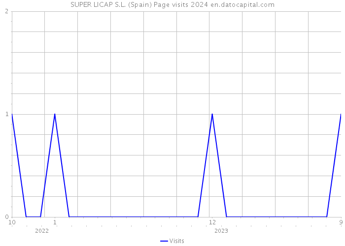 SUPER LICAP S.L. (Spain) Page visits 2024 