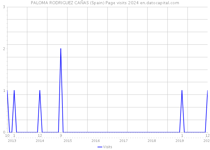PALOMA RODRIGUEZ CAÑAS (Spain) Page visits 2024 