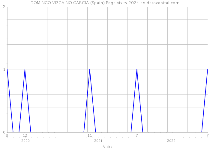 DOMINGO VIZCAINO GARCIA (Spain) Page visits 2024 