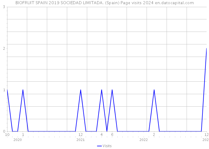 BIOFRUIT SPAIN 2019 SOCIEDAD LIMITADA. (Spain) Page visits 2024 