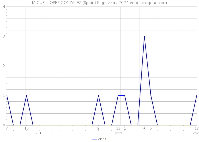 MIGUEL LOPEZ GONZALEZ (Spain) Page visits 2024 