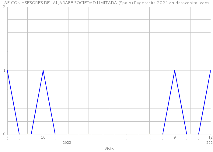 AFICON ASESORES DEL ALJARAFE SOCIEDAD LIMITADA (Spain) Page visits 2024 