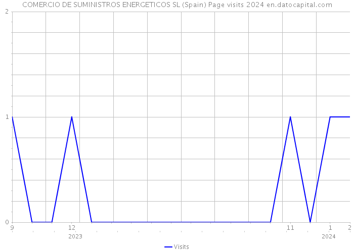 COMERCIO DE SUMINISTROS ENERGETICOS SL (Spain) Page visits 2024 