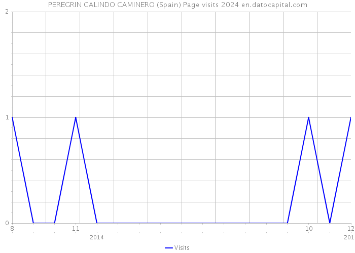 PEREGRIN GALINDO CAMINERO (Spain) Page visits 2024 