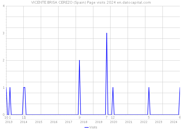 VICENTE BRISA CEREZO (Spain) Page visits 2024 