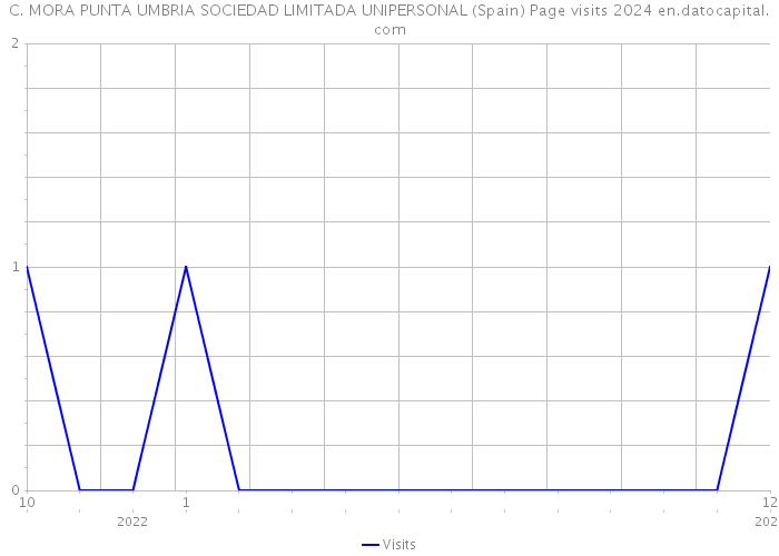 C. MORA PUNTA UMBRIA SOCIEDAD LIMITADA UNIPERSONAL (Spain) Page visits 2024 