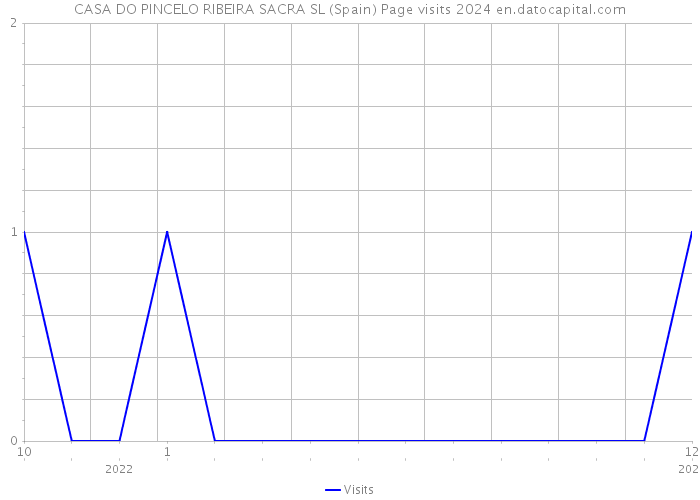 CASA DO PINCELO RIBEIRA SACRA SL (Spain) Page visits 2024 