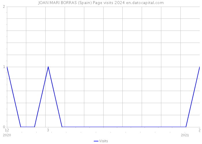 JOAN MARI BORRAS (Spain) Page visits 2024 