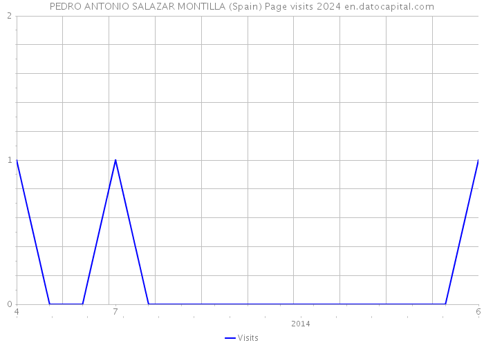 PEDRO ANTONIO SALAZAR MONTILLA (Spain) Page visits 2024 