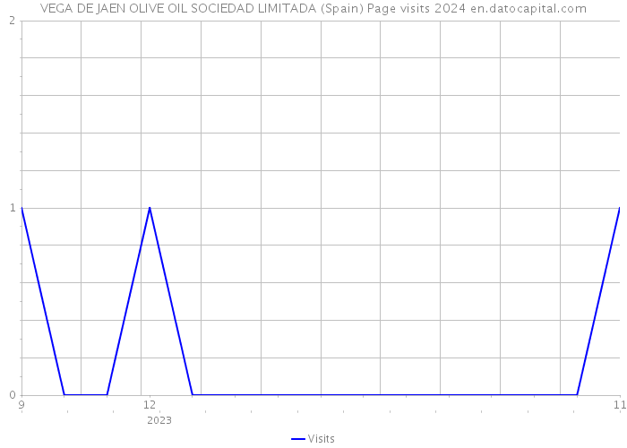 VEGA DE JAEN OLIVE OIL SOCIEDAD LIMITADA (Spain) Page visits 2024 