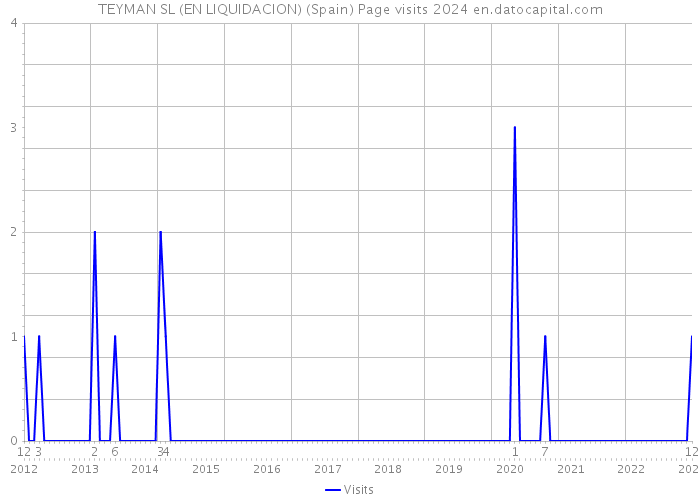 TEYMAN SL (EN LIQUIDACION) (Spain) Page visits 2024 