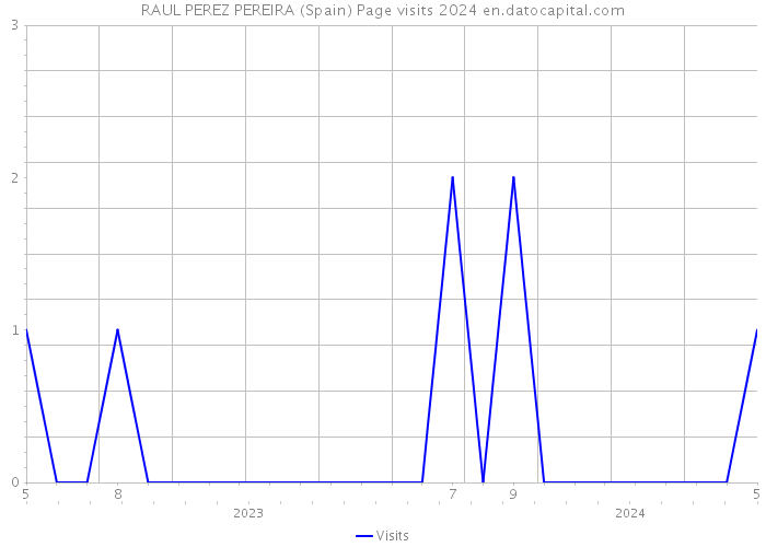 RAUL PEREZ PEREIRA (Spain) Page visits 2024 