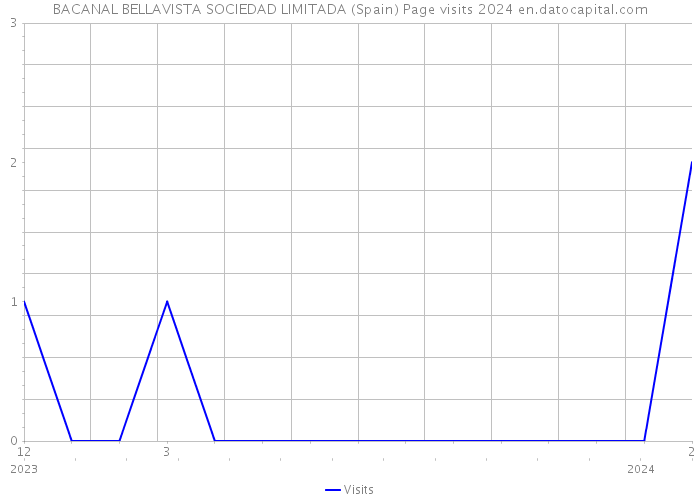 BACANAL BELLAVISTA SOCIEDAD LIMITADA (Spain) Page visits 2024 
