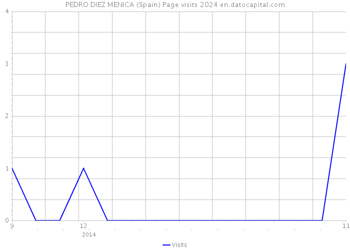 PEDRO DIEZ MENICA (Spain) Page visits 2024 