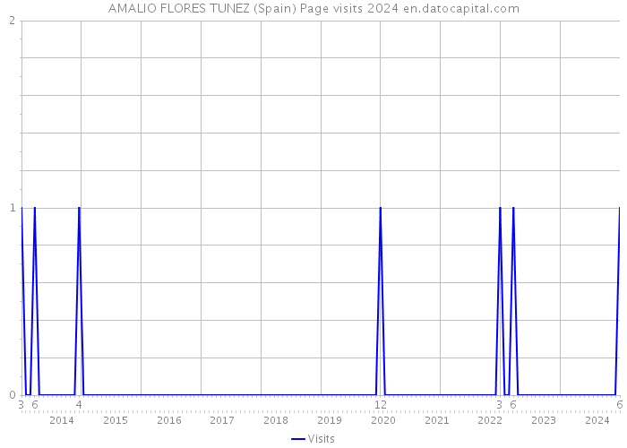 AMALIO FLORES TUNEZ (Spain) Page visits 2024 