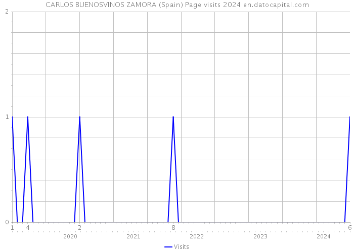 CARLOS BUENOSVINOS ZAMORA (Spain) Page visits 2024 