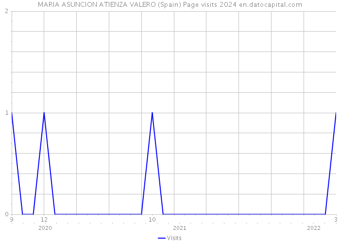 MARIA ASUNCION ATIENZA VALERO (Spain) Page visits 2024 