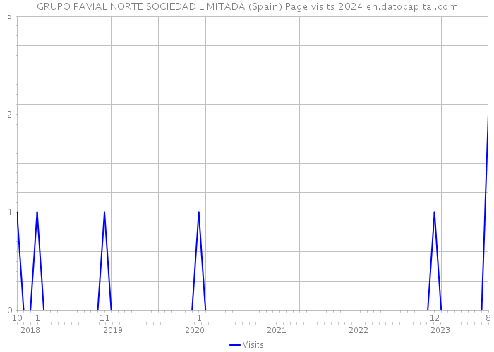 GRUPO PAVIAL NORTE SOCIEDAD LIMITADA (Spain) Page visits 2024 