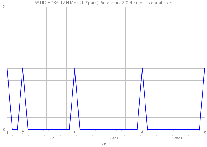 WILID HOBALLAH MAKKI (Spain) Page visits 2024 