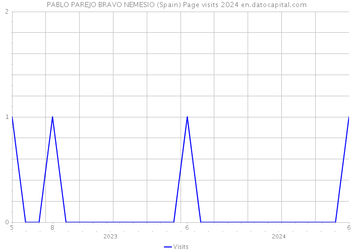 PABLO PAREJO BRAVO NEMESIO (Spain) Page visits 2024 