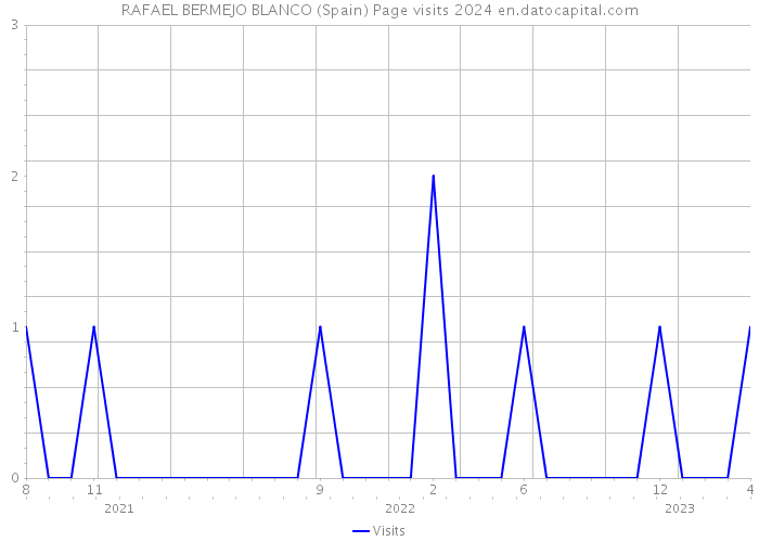 RAFAEL BERMEJO BLANCO (Spain) Page visits 2024 