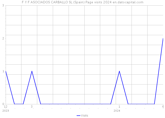 F Y F ASOCIADOS CARBALLO SL (Spain) Page visits 2024 
