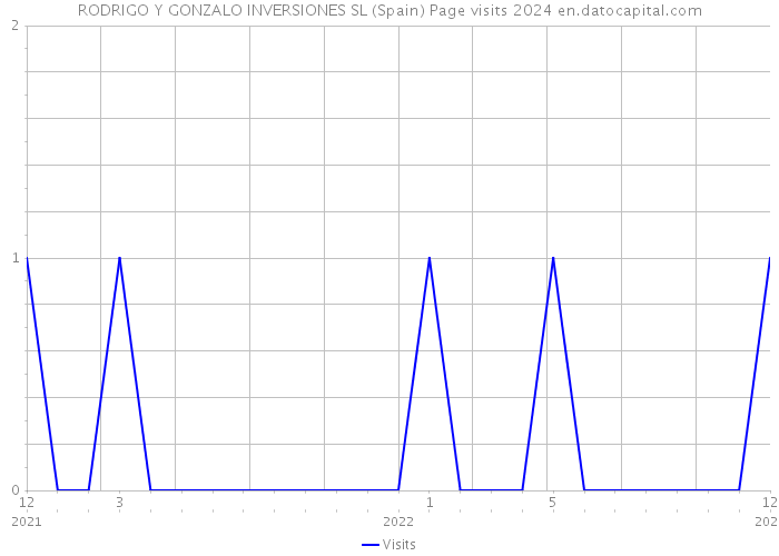 RODRIGO Y GONZALO INVERSIONES SL (Spain) Page visits 2024 