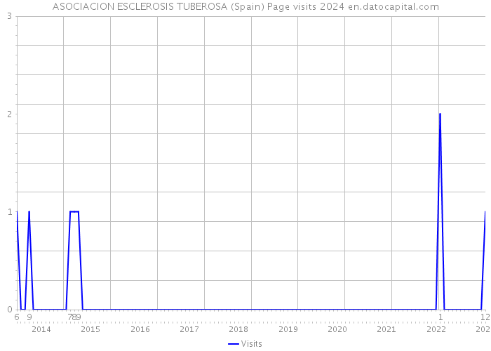 ASOCIACION ESCLEROSIS TUBEROSA (Spain) Page visits 2024 