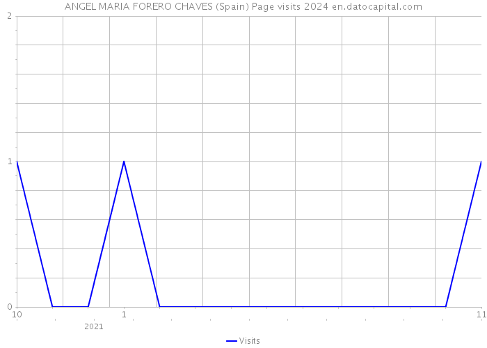 ANGEL MARIA FORERO CHAVES (Spain) Page visits 2024 