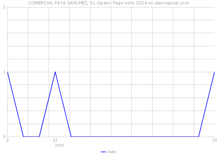 COMERCIAL PAYA SANCHEZ, S.L (Spain) Page visits 2024 