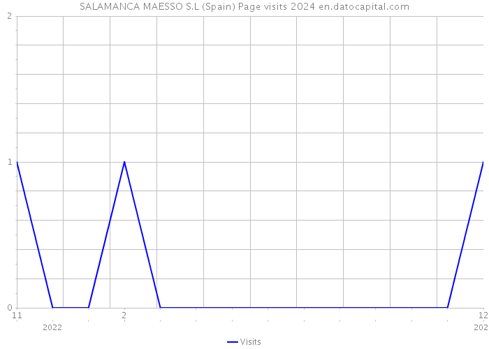SALAMANCA MAESSO S.L (Spain) Page visits 2024 