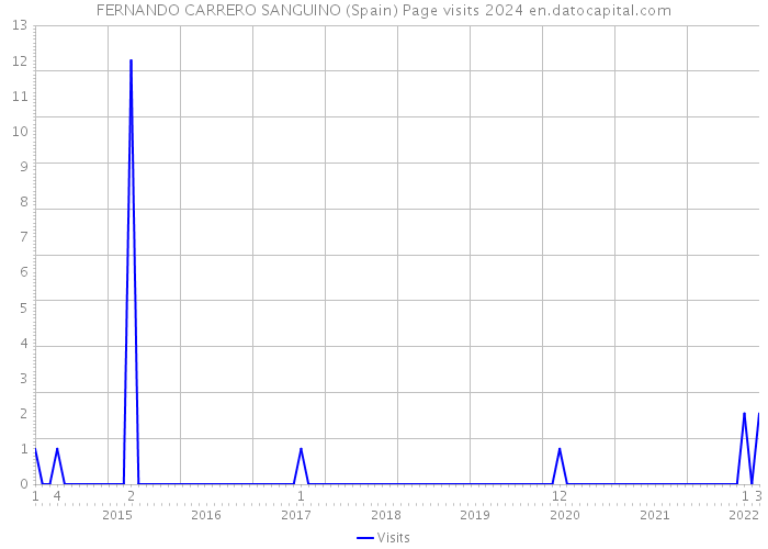 FERNANDO CARRERO SANGUINO (Spain) Page visits 2024 