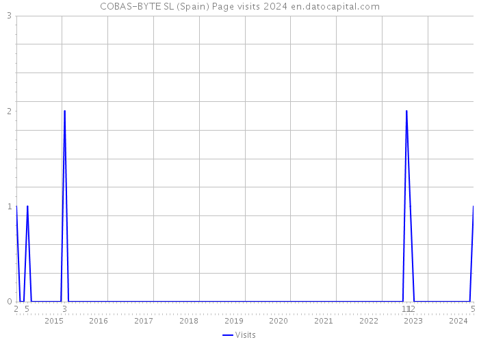 COBAS-BYTE SL (Spain) Page visits 2024 