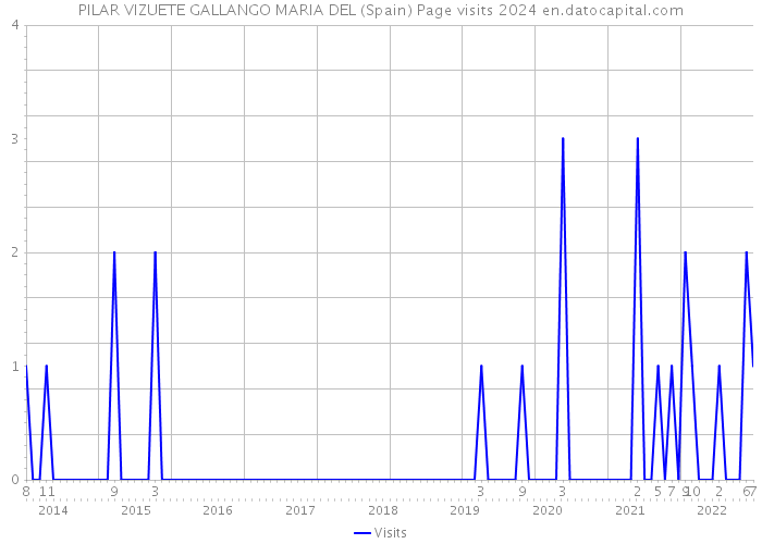 PILAR VIZUETE GALLANGO MARIA DEL (Spain) Page visits 2024 