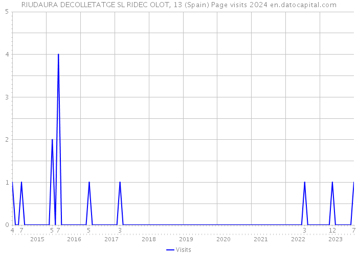 RIUDAURA DECOLLETATGE SL RIDEC OLOT, 13 (Spain) Page visits 2024 