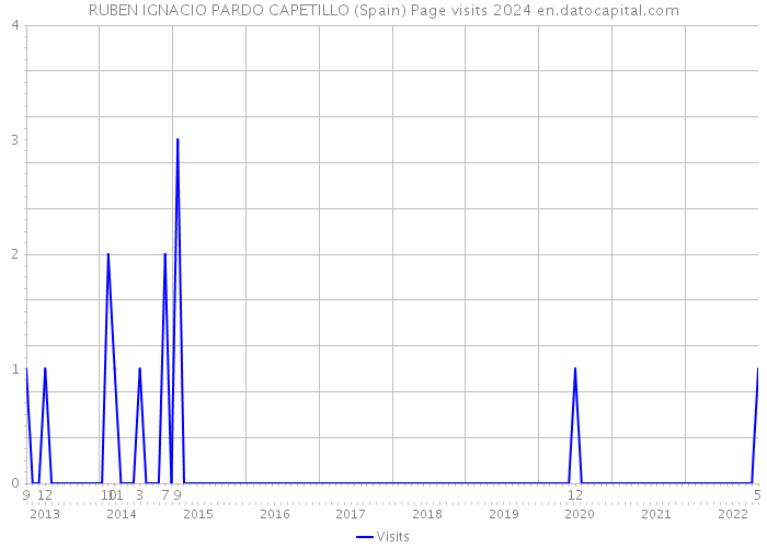 RUBEN IGNACIO PARDO CAPETILLO (Spain) Page visits 2024 