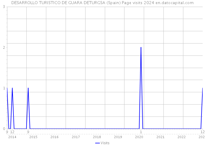 DESARROLLO TURISTICO DE GUARA DETURGSA (Spain) Page visits 2024 