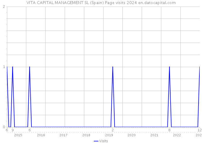 VITA CAPITAL MANAGEMENT SL (Spain) Page visits 2024 
