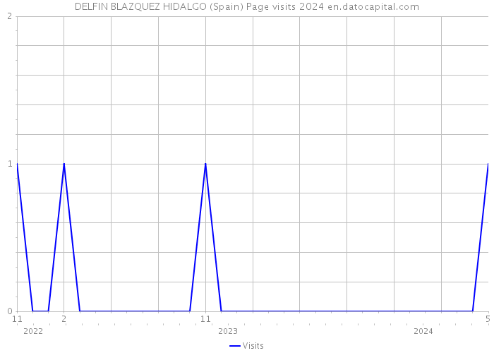 DELFIN BLAZQUEZ HIDALGO (Spain) Page visits 2024 