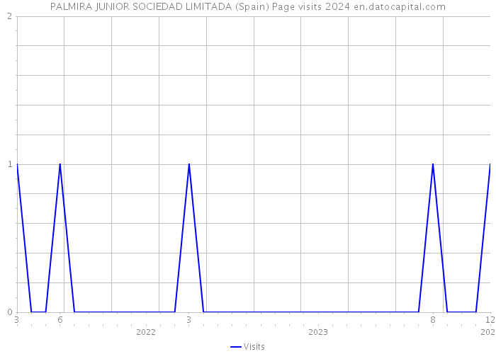 PALMIRA JUNIOR SOCIEDAD LIMITADA (Spain) Page visits 2024 