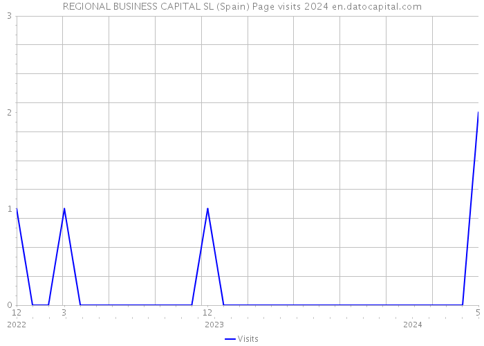 REGIONAL BUSINESS CAPITAL SL (Spain) Page visits 2024 