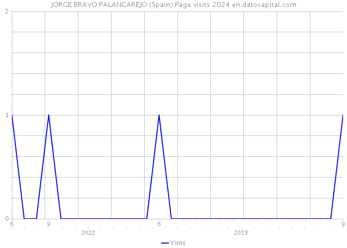 JORGE BRAVO PALANCAREJO (Spain) Page visits 2024 