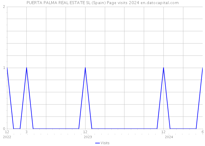PUERTA PALMA REAL ESTATE SL (Spain) Page visits 2024 
