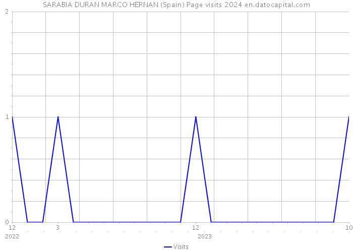 SARABIA DURAN MARCO HERNAN (Spain) Page visits 2024 