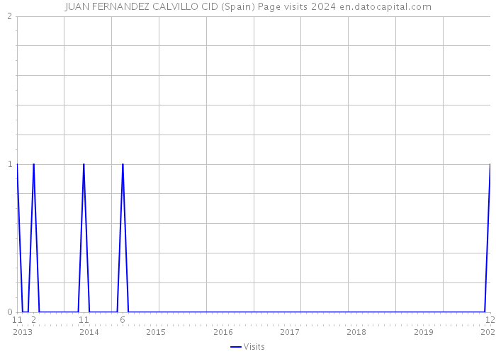 JUAN FERNANDEZ CALVILLO CID (Spain) Page visits 2024 
