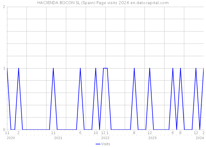 HACIENDA BOCON SL (Spain) Page visits 2024 